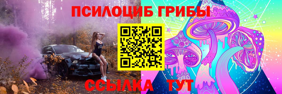 Псилоцибиновые грибы Psilocybe  Галлюциногенные грибы MAGIC MUSHROOMS  Вход с VPN  Реж 
